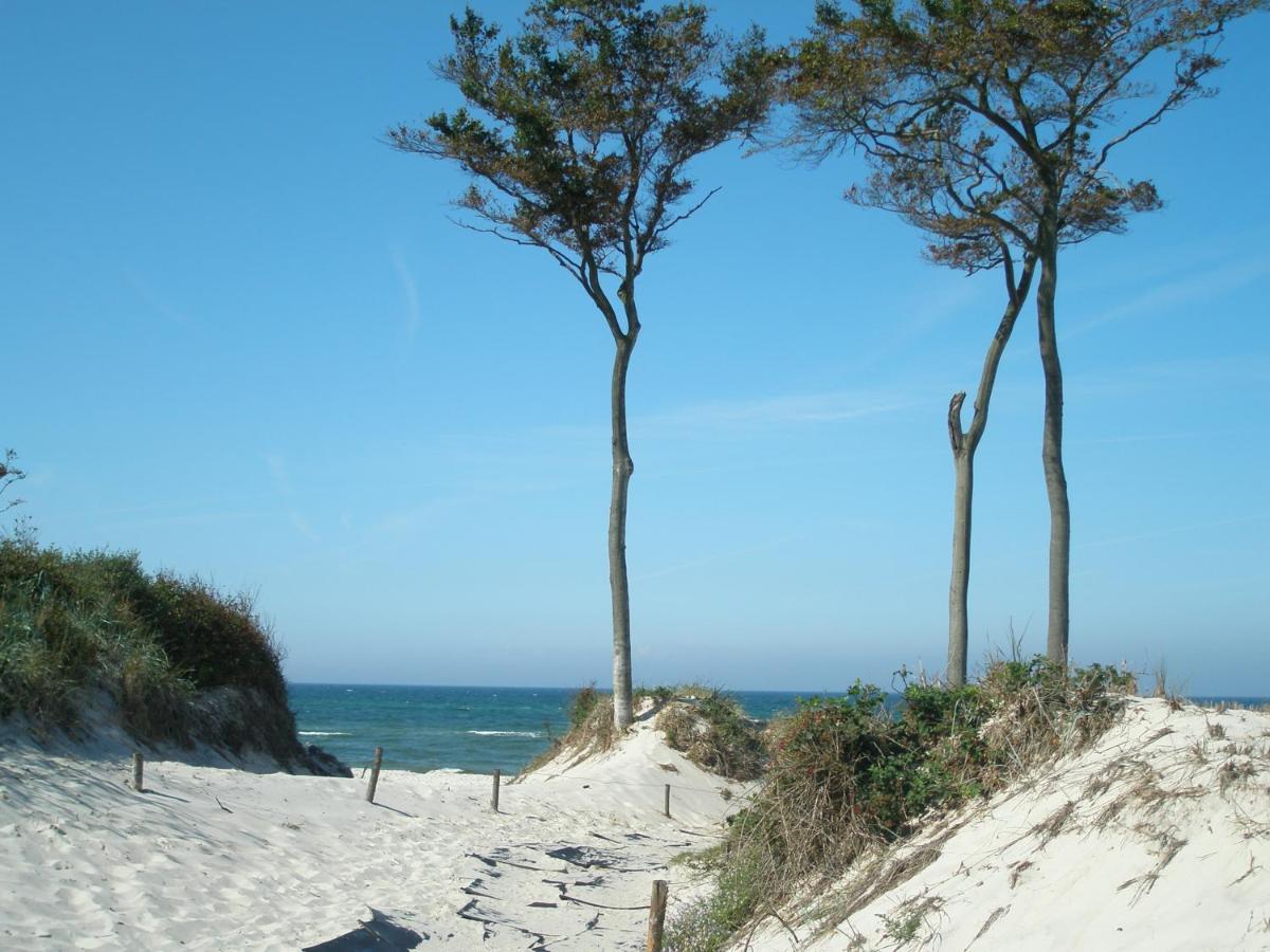 Appartement Kavelweg 13 Whg 4 - Kleiner Kaeptn à Zingst Extérieur photo